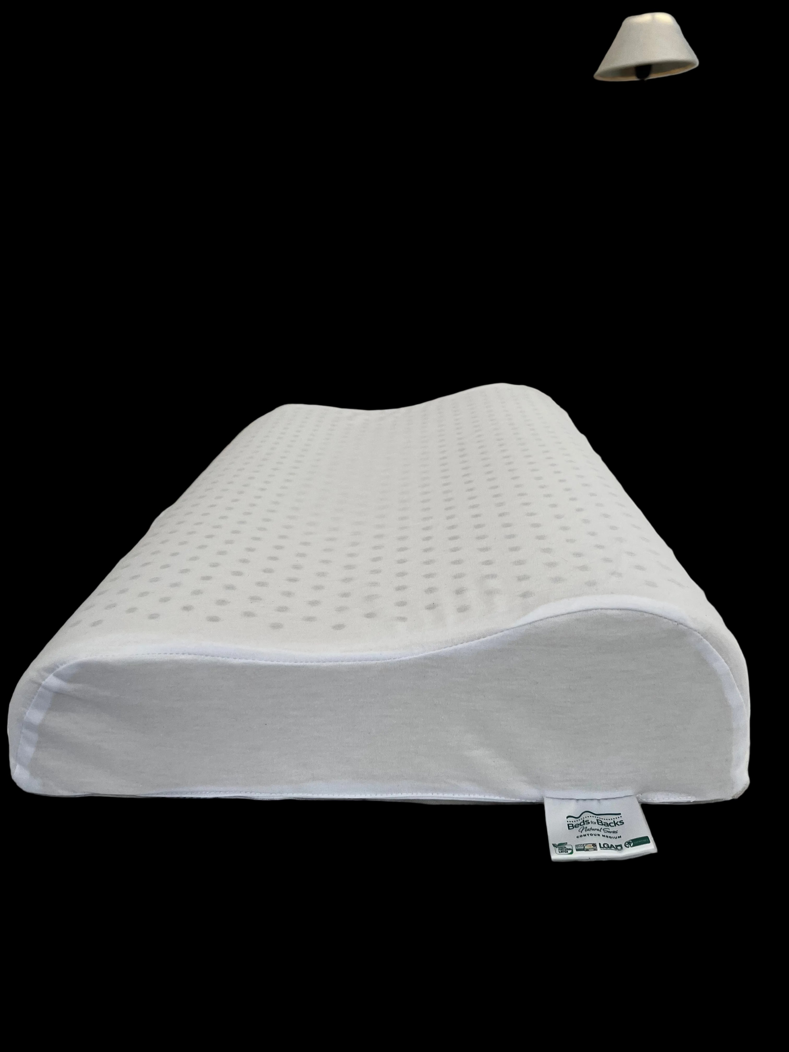 ErgoLife Futura Contoured 100% Natural Latex