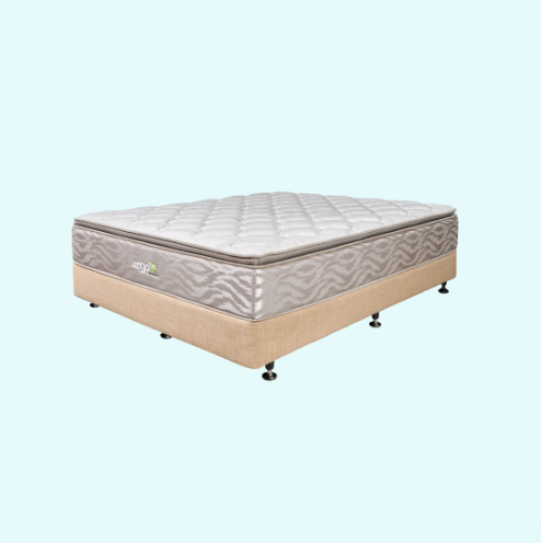 Ergolife Contour Fixed