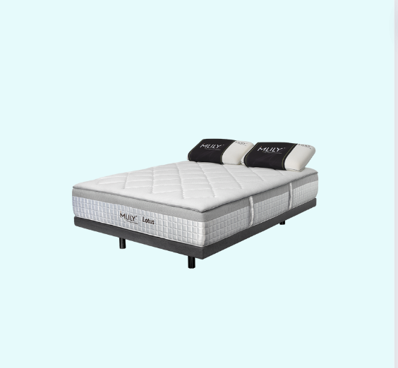 Mlily Cosmos Mattress