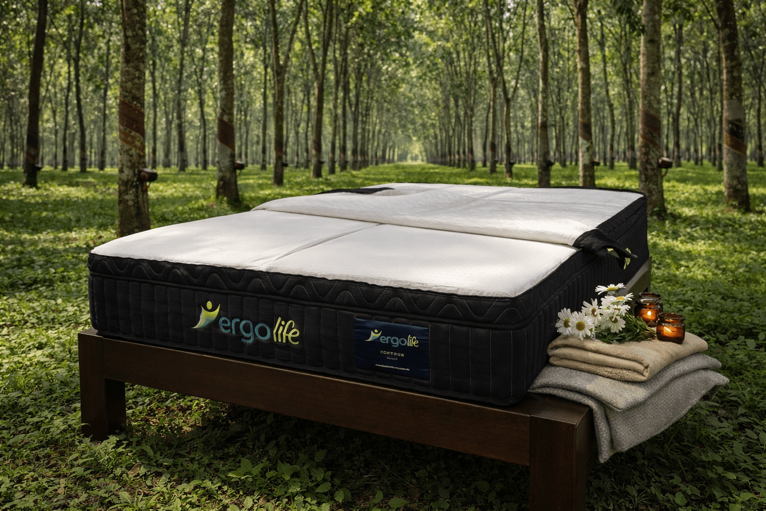Ergolife Contour Select - With Natural Foam - Beds for Backs