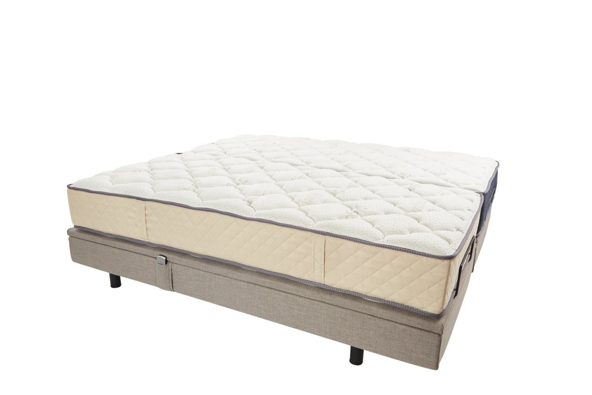 Ergolife Electric Bed - Freestyle F500 - Beds for Backs
