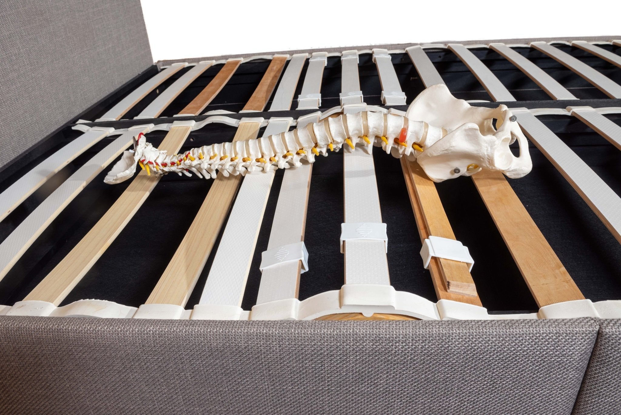 Ergolife Zero Stress - Ergonomic, CHLOE 190mm Base - Artisan Designer Beds frames - Beds for Backs