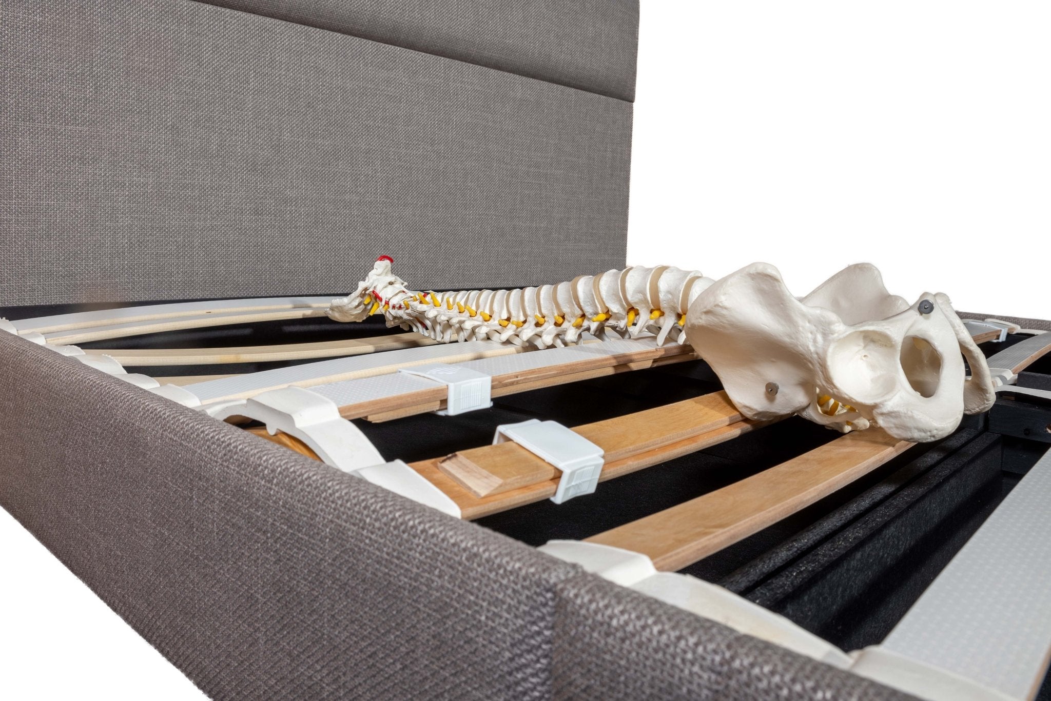 Ergolife Zero Stress - Ergonomic, CHLOE 190mm Base - Artisan Designer Beds frames - Beds for Backs