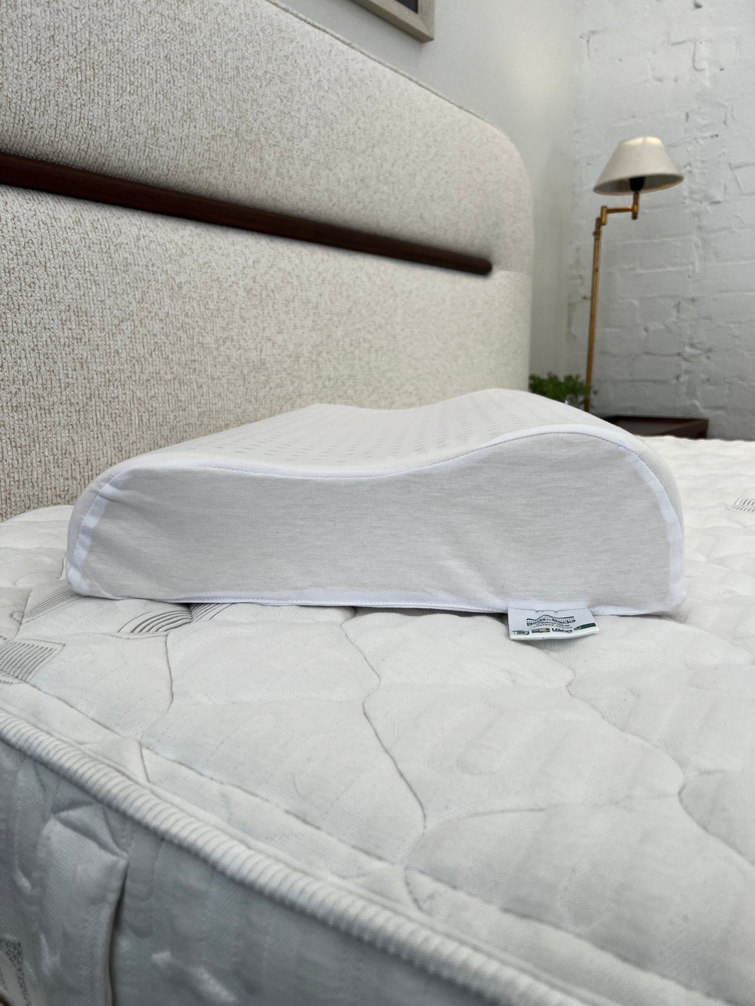 Futura Contour Medium Pillow - Beds for Backs