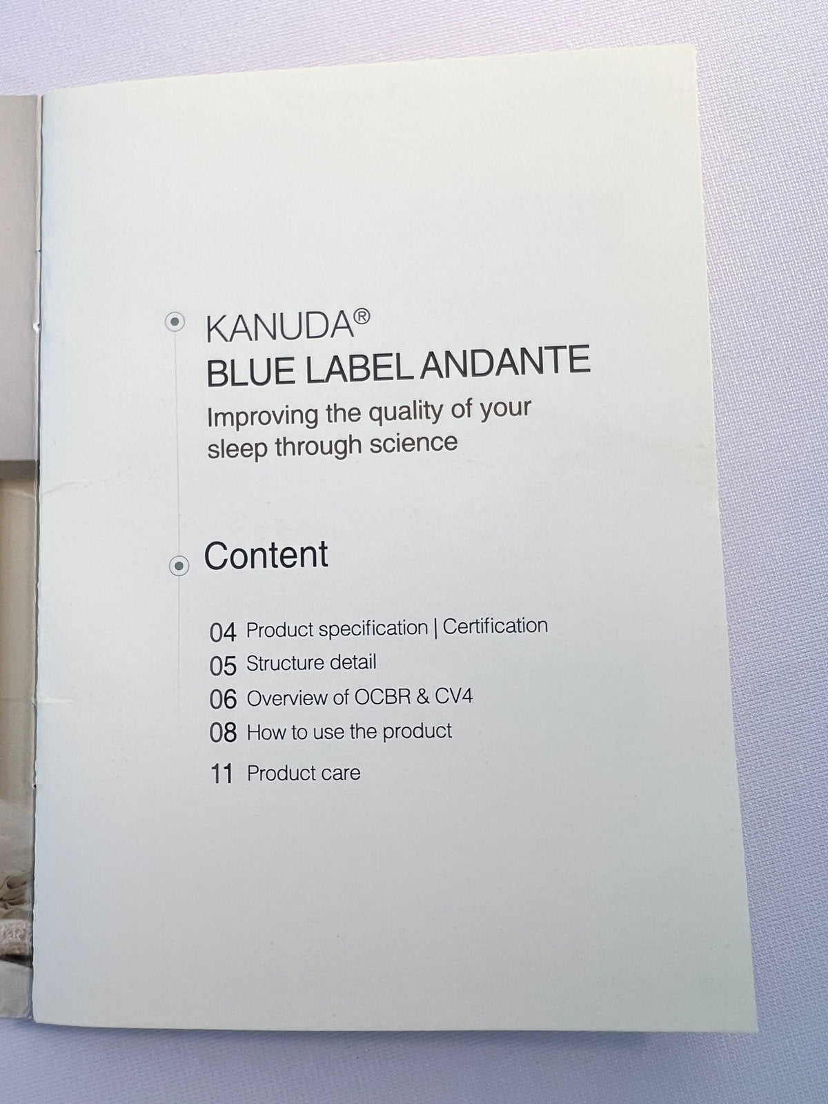 KANUDA® BLUE LABEL ANDANTE PILLOW - Beds for Backs