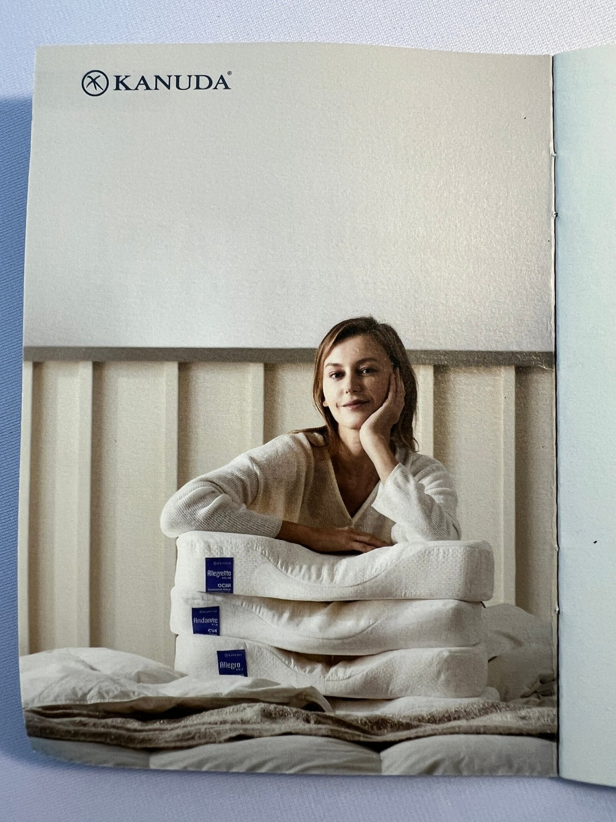 KANUDA® BLUE LABEL PIANO AIR PILLOW - Beds for Backs