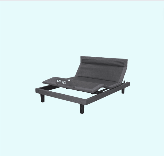 MLily Electric Bed - iActive 30M - Beds for Backs