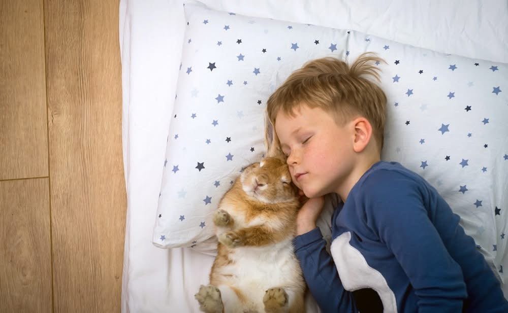 Children’s Mattress Matters - Beds for Backs