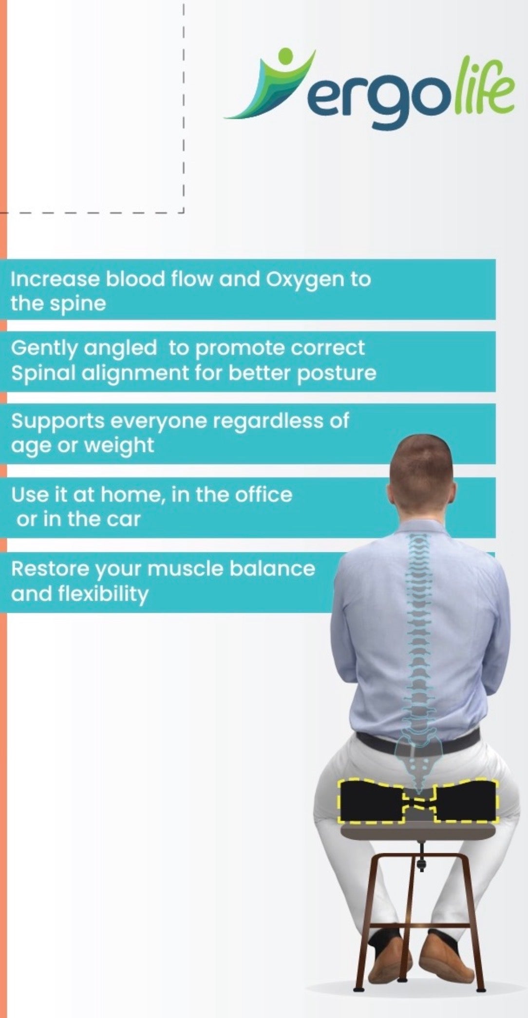 Ergolife Posture Flex Latex Coccyx Cushion