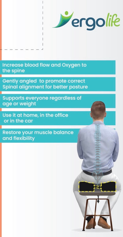 Ergolife Posture Flex Latex Coccyx Cushion