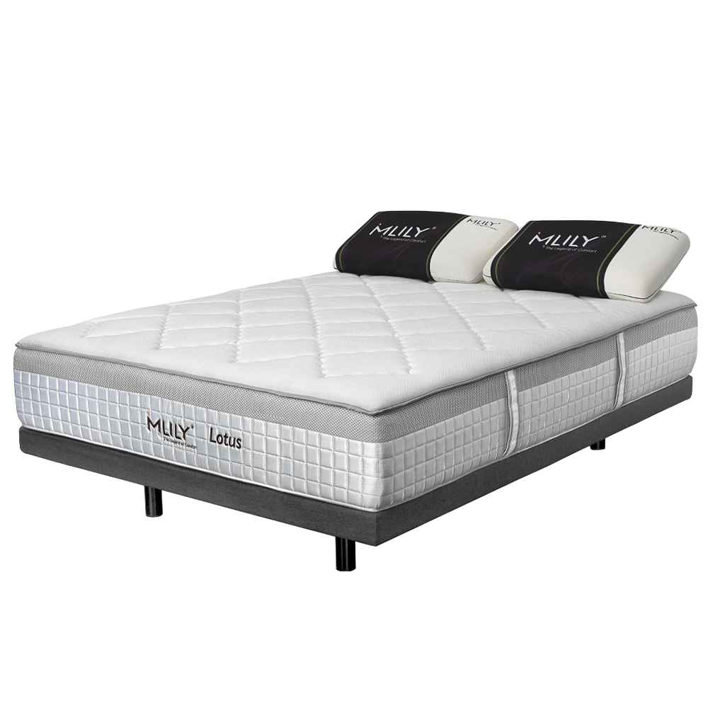 Mlily LOTUS Mattresses