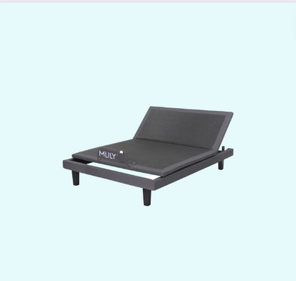 MLily Electric Bed - iActive 20M