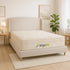Ergolife Contour 9 Zone Mattress - Beds for Backs