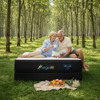 Ergolife Contour Select - With Natural Foam - Beds for Backs
