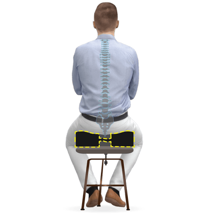 Ergolife Posture Flex Latex Coccyx Cushion - Beds for Backs