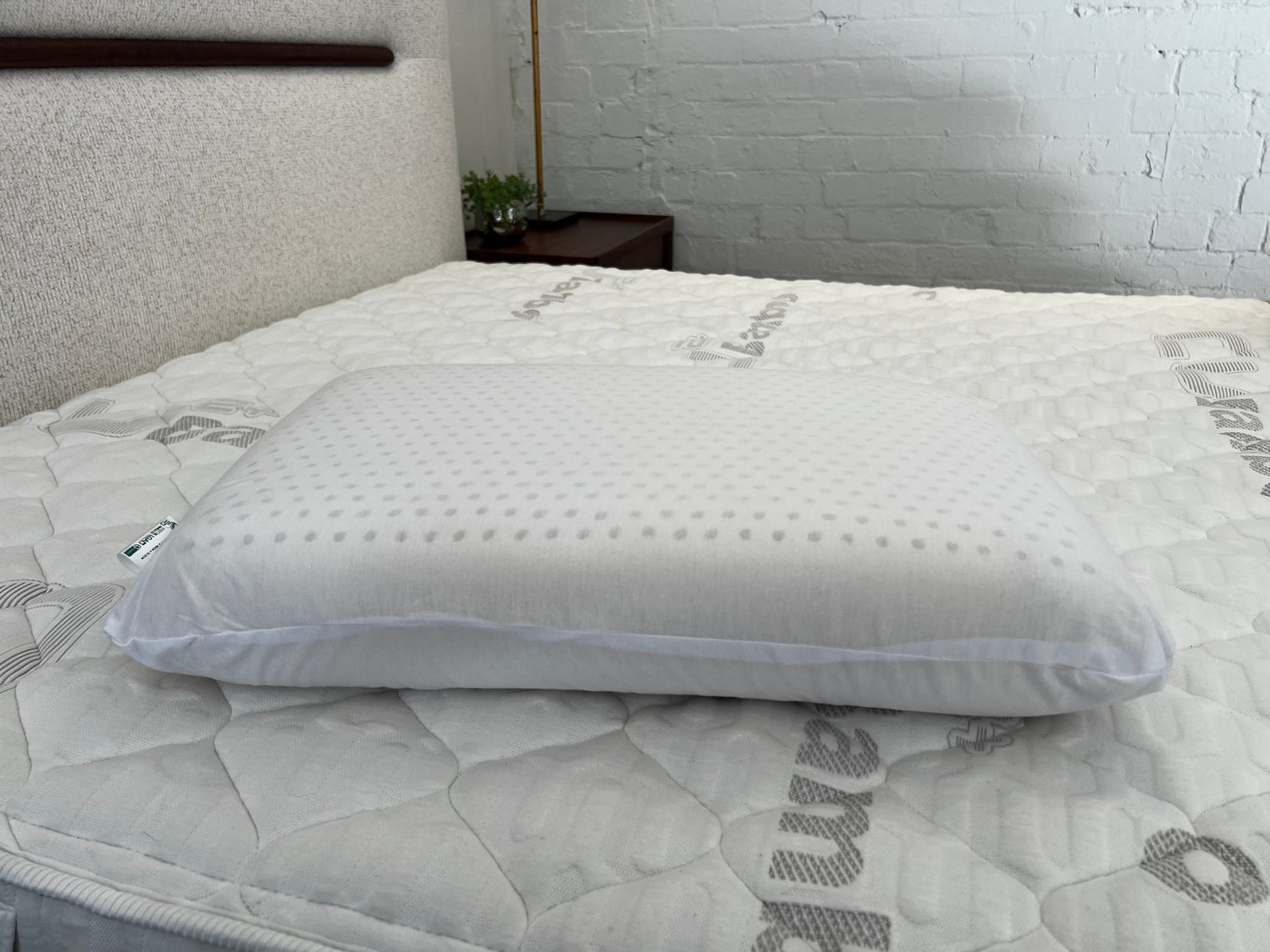 ErgoLife Standard 100% Natural Latex Pillow 12.5cm - Beds for Backs