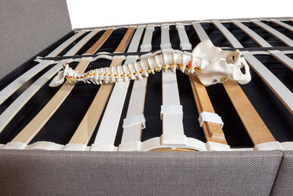 Ergolife Zero Stress - Ergonomic, CHLOE 190mm Base - Artisan Designer Beds frames - Beds for Backs