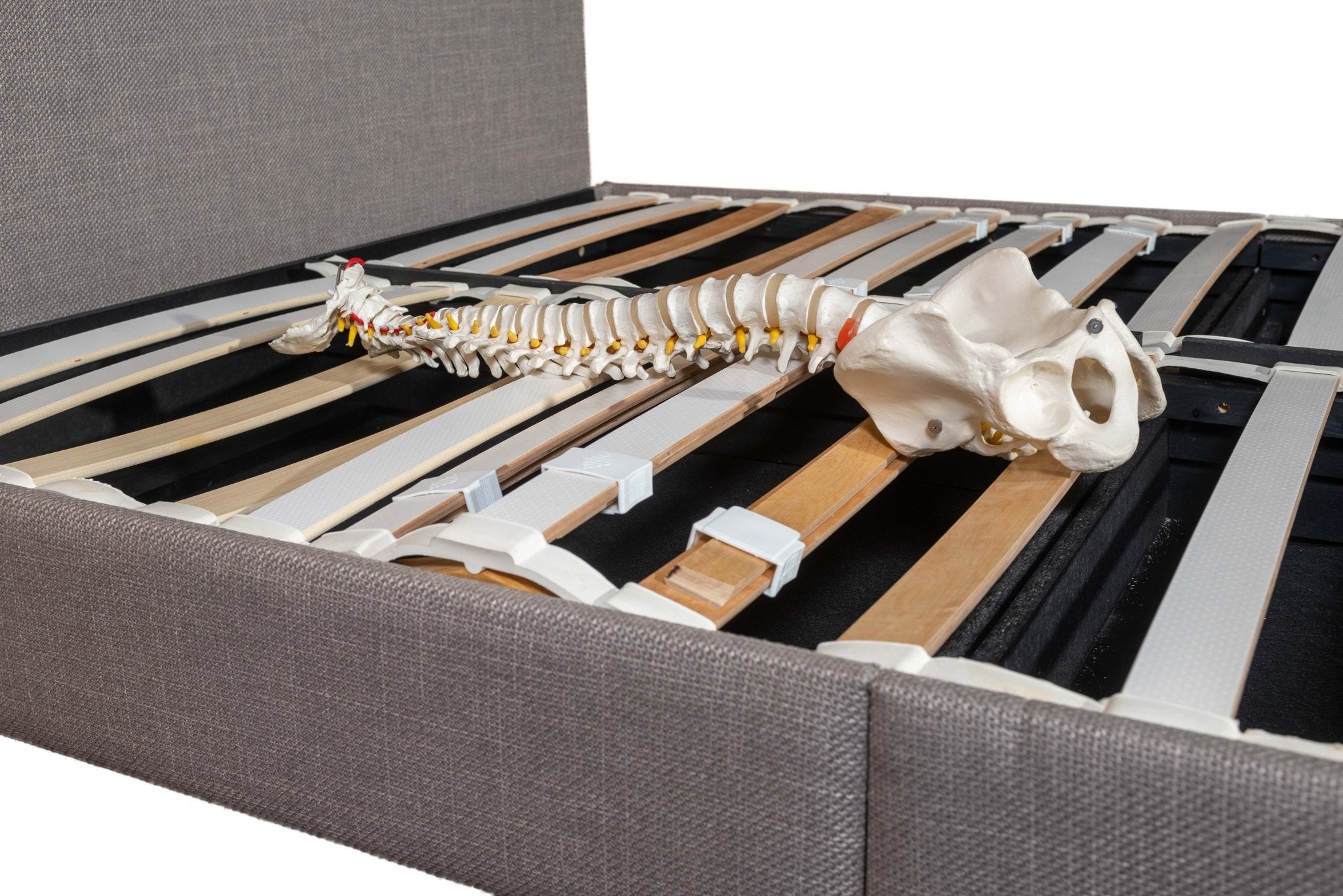 Ergolife Zero Stress - Ergonomic, CHLOE 190mm Base - Artisan Designer Beds frames - Beds for Backs