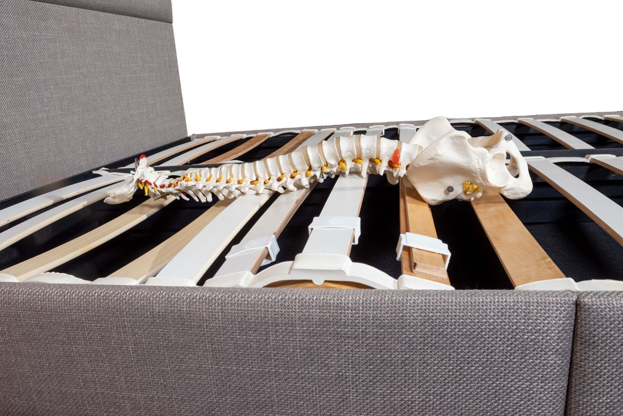Ergolife Zero Stress - Ergonomic, CHLOE 190mm Base - Artisan Designer Beds frames - Beds for Backs