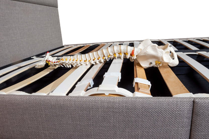Ergolife Zero Stress - Ergonomic, CHLOE 190mm Base - Artisan Designer Beds frames - Beds for Backs