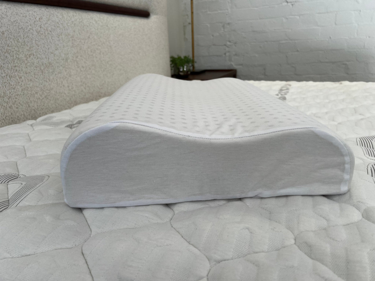 Futura Contour Medium Pillow - Beds for Backs