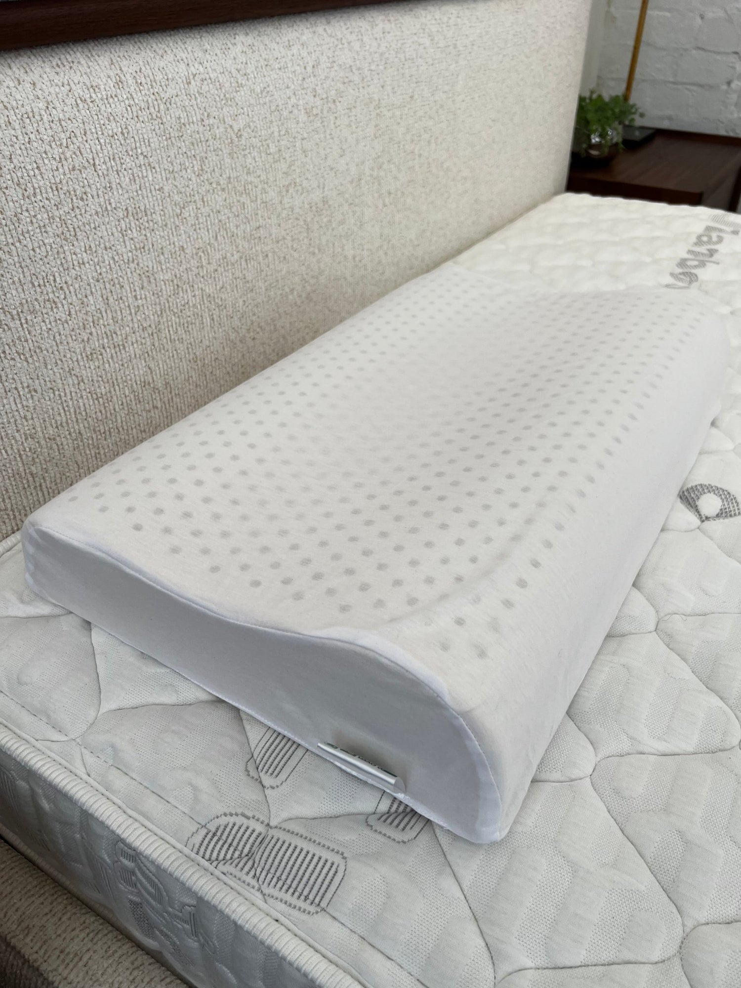 Futura Contour Medium Pillow - Beds for Backs