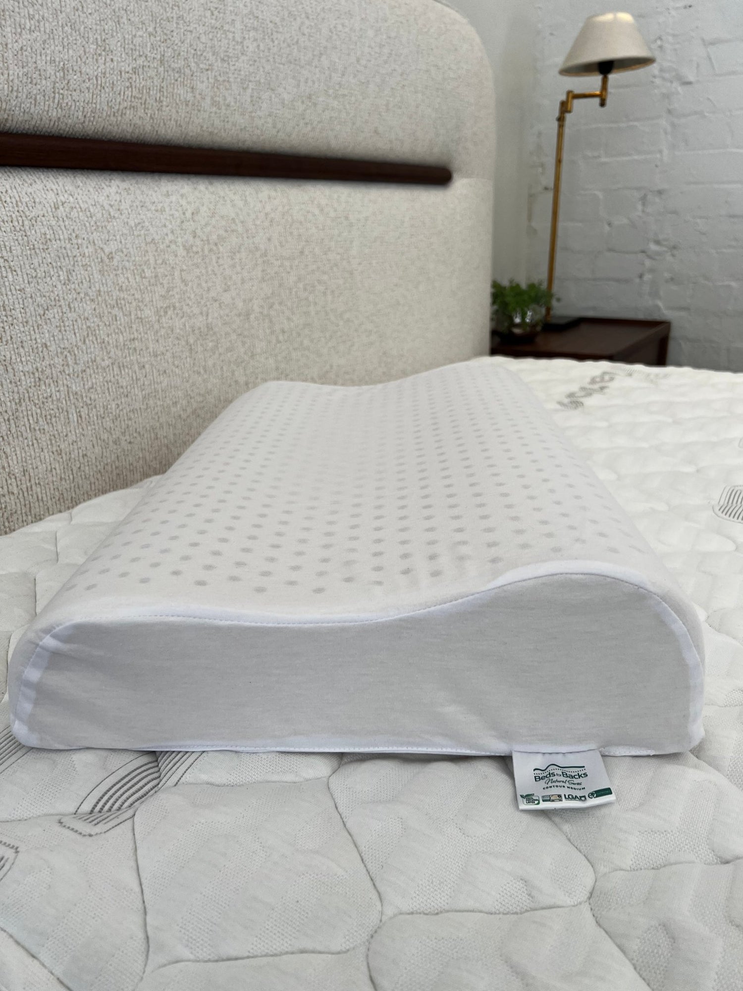 Futura Contour Medium Pillow - Beds for Backs