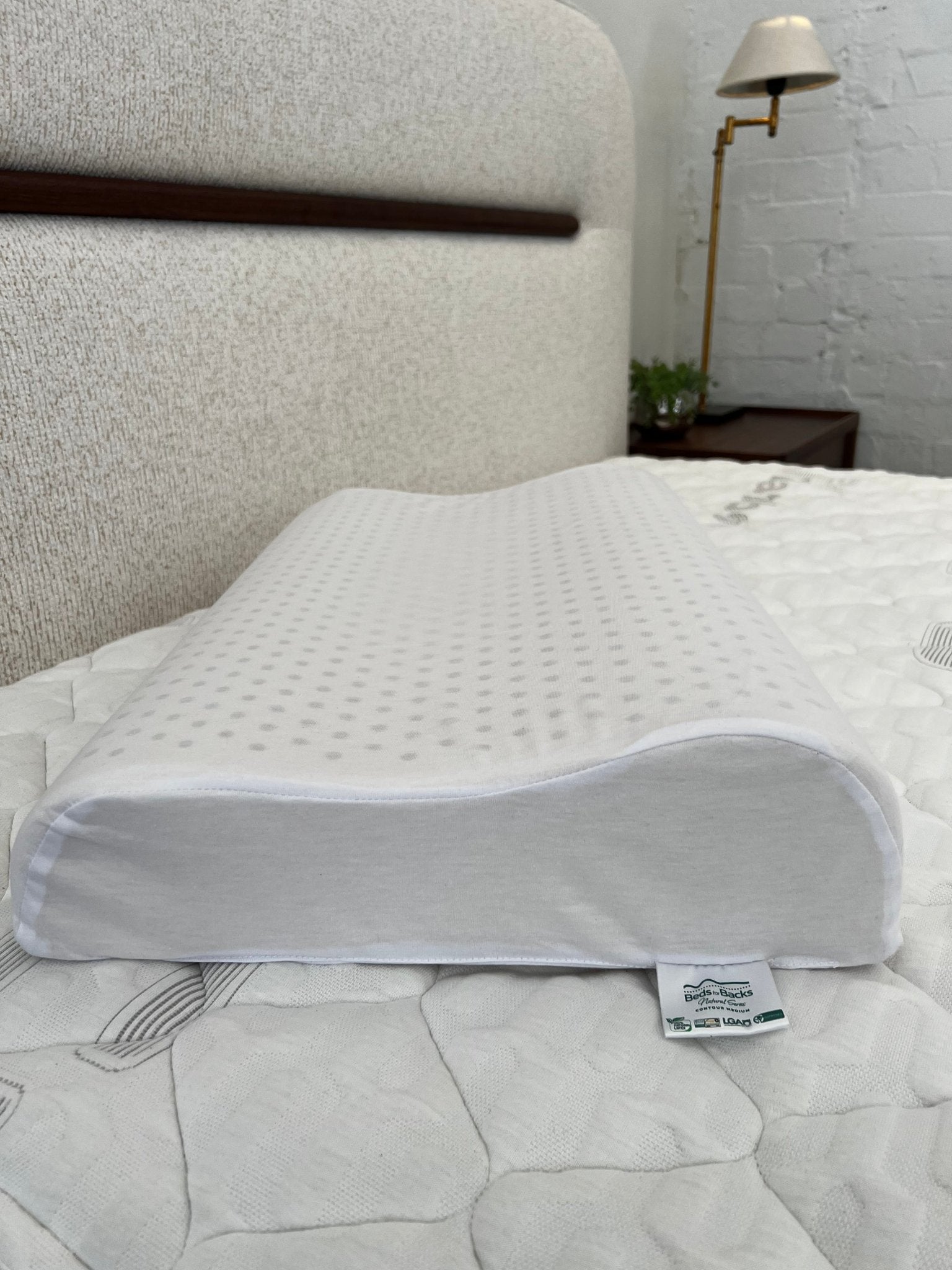 Futura Contour Medium Pillow - Beds for Backs