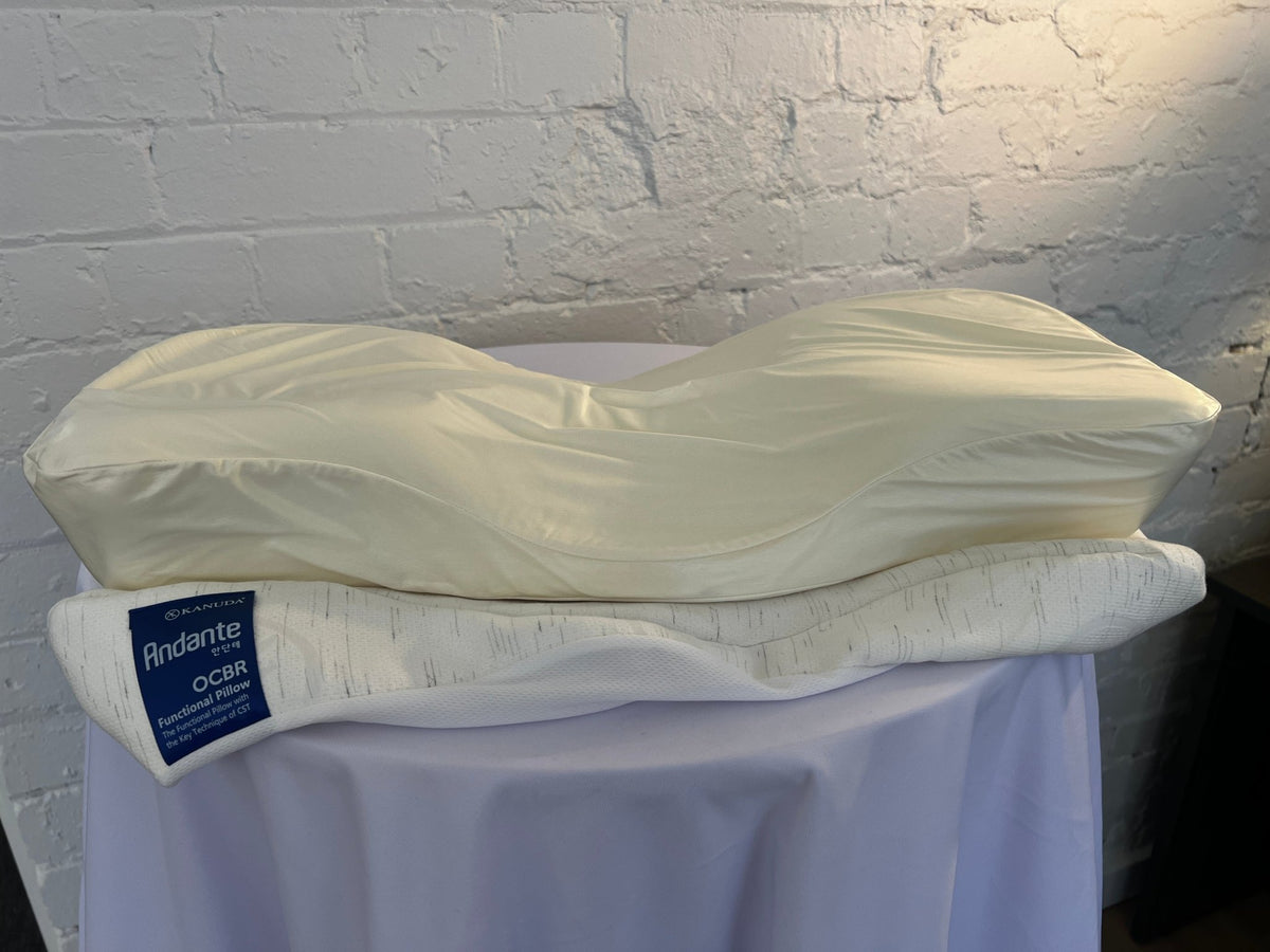 KANUDA® BLUE LABEL ANDANTE PILLOW - Beds for Backs