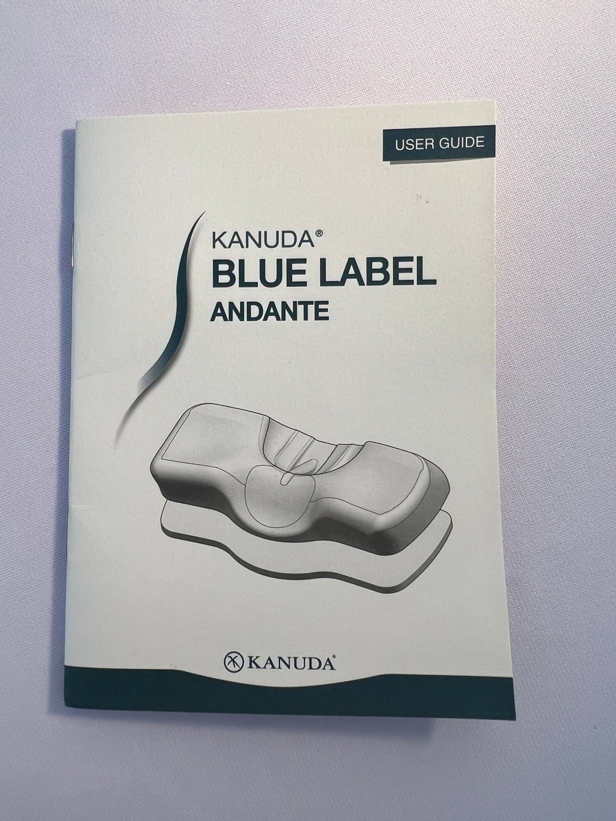 KANUDA® BLUE LABEL ANDANTE PILLOW - Beds for Backs