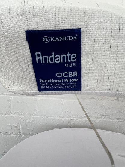 KANUDA® BLUE LABEL ANDANTE PILLOW - Beds for Backs