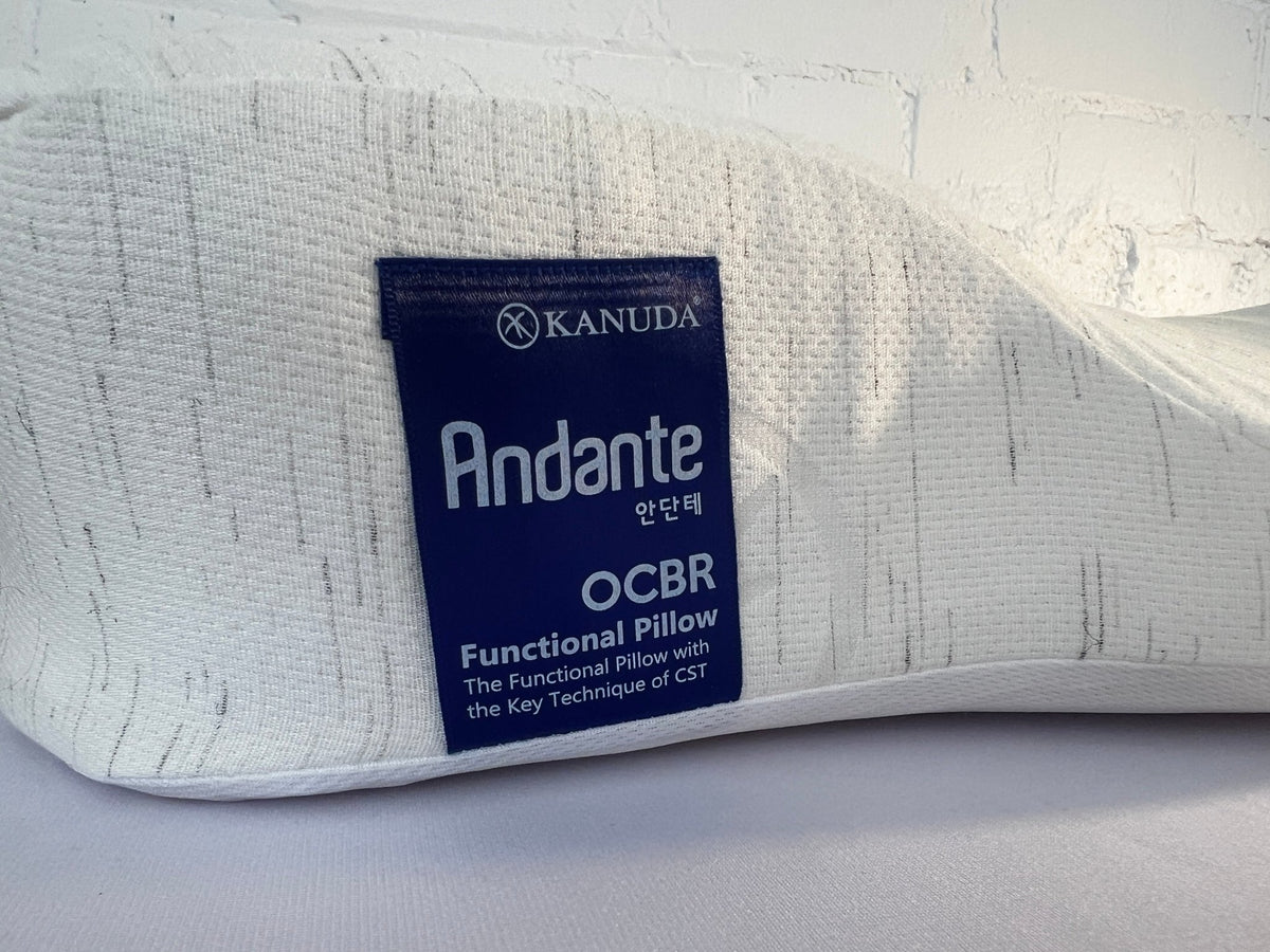 KANUDA® BLUE LABEL ANDANTE PILLOW - Beds for Backs