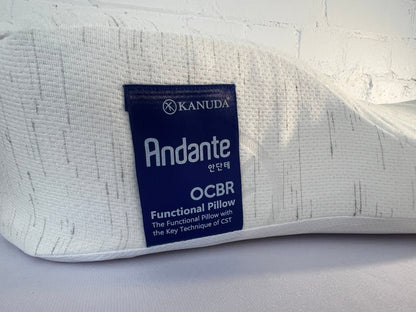 KANUDA® BLUE LABEL ANDANTE PILLOW - Beds for Backs