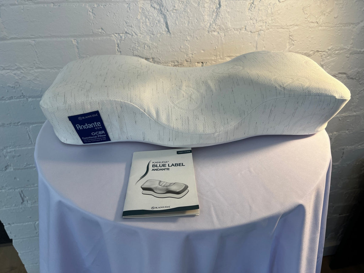 KANUDA® BLUE LABEL ANDANTE PILLOW - Beds for Backs