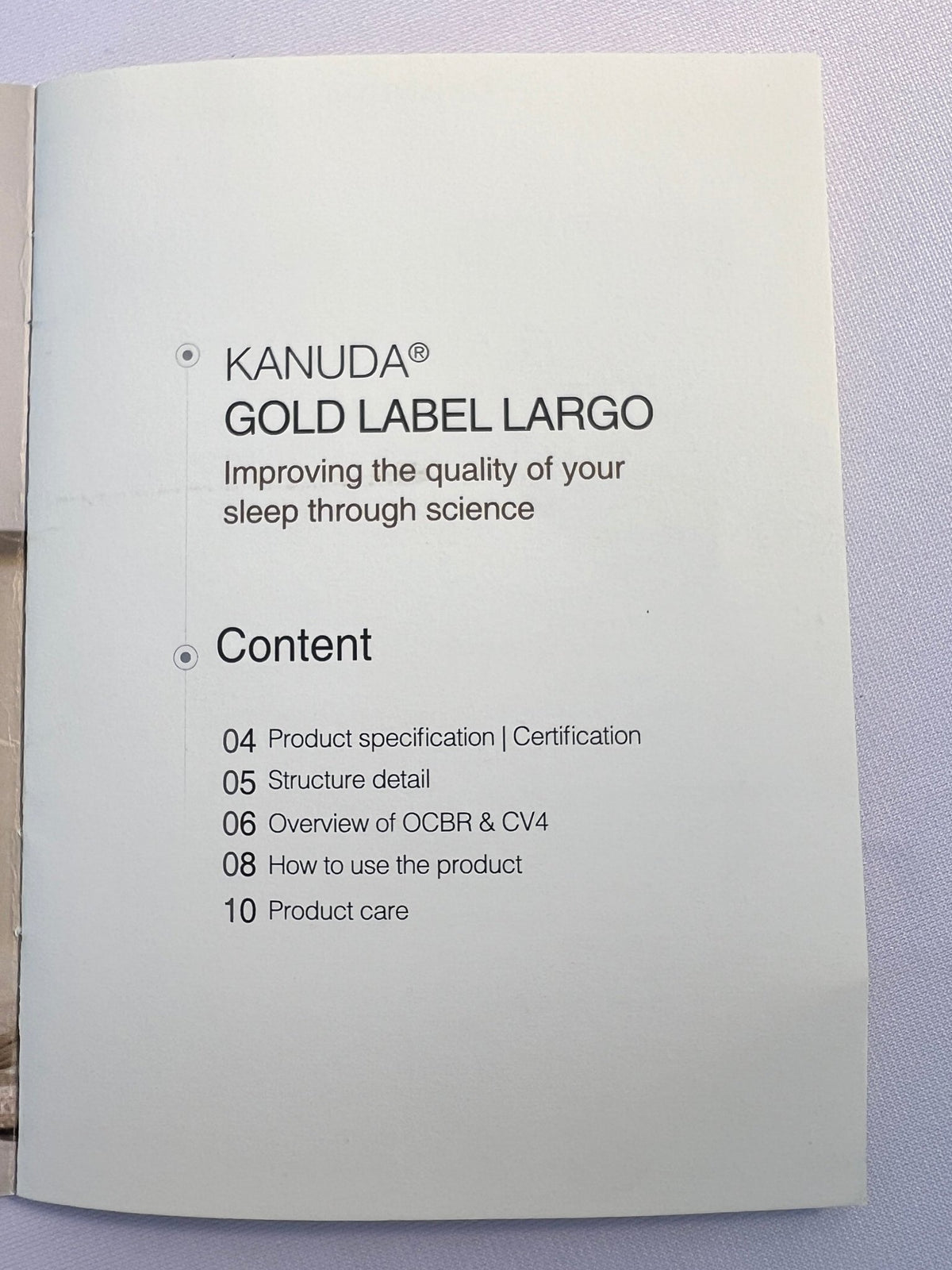 KANUDA® GOLD LABEL LARGO PILLOW - Beds for Backs
