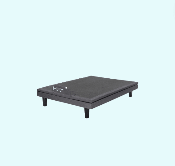 MLily Electric Bed - iActive 20M - Beds for Backs