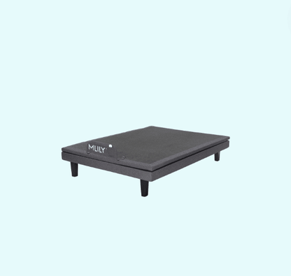 MLily Electric Bed - iActive 20M - Beds for Backs