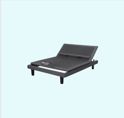 MLily Electric Bed - iActive 40M Lumbar - i40 - Beds for Backs