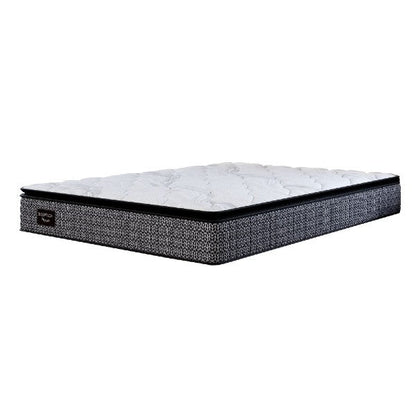 Physio Mattress - Budget Conscious - Beds in a Box. - Beds for Backs